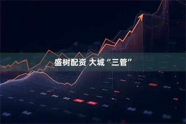 盛树配资 大城“三管”
