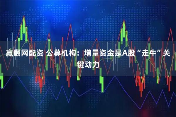 赢翻网配资 公募机构：增量资金是A股“走牛”关键动力