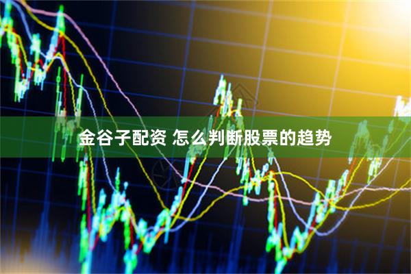 金谷子配资 怎么判断股票的趋势