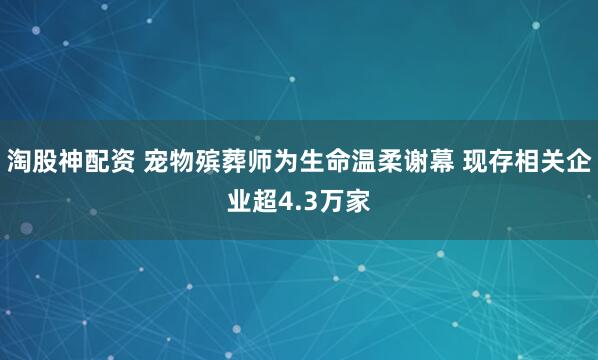 淘股神配资 宠物殡葬师为生命温柔谢幕 现存相关企业超4.3万家