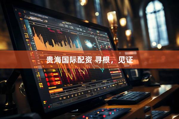 贵海国际配资 寻根，见证