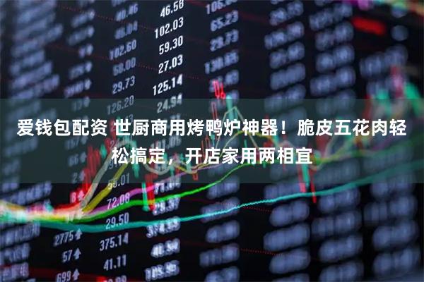 爱钱包配资 世厨商用烤鸭炉神器！脆皮五花肉轻松搞定，开店家用两相宜