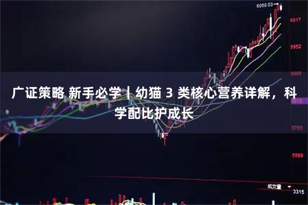 广证策略 新手必学｜幼猫 3 类核心营养详解，科学配比护成长