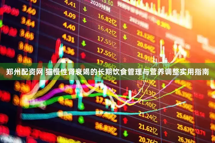 郑州配资网 猫慢性肾衰竭的长期饮食管理与营养调整实用指南