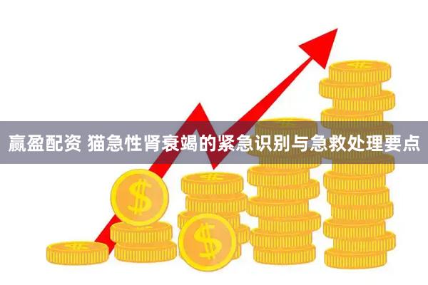 赢盈配资 猫急性肾衰竭的紧急识别与急救处理要点